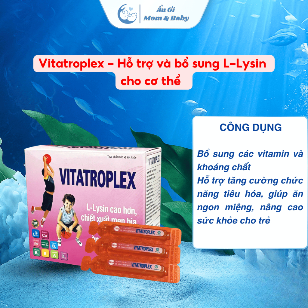 [CHÍNH HÃNG - CÓ QUÀ] Siro Vitatroplex Hỗ Trợ Bổ Sung L-Lysin Các Vitamin Khoáng Chất Hỗ Trợ Kích Thích Ăn Ngon - 20 ống