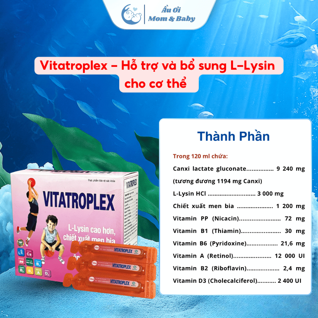 [CHÍNH HÃNG - CÓ QUÀ] Siro Vitatroplex Hỗ Trợ Bổ Sung L-Lysin Các Vitamin Khoáng Chất Hỗ Trợ Kích Thích Ăn Ngon - 20 ống