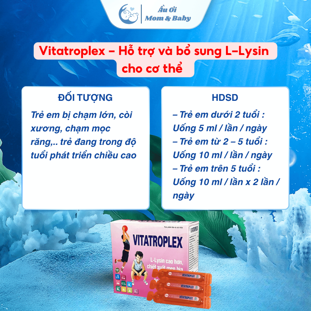 [CHÍNH HÃNG - CÓ QUÀ] Siro Vitatroplex Hỗ Trợ Bổ Sung L-Lysin Các Vitamin Khoáng Chất Hỗ Trợ Kích Thích Ăn Ngon - 20 ống