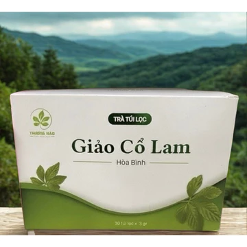 Trà Túi Lọc Giảo Cổ Lam Hòa Bình (30 Túi x 3g) – Chuẩn GACP-WHO – Thanh Lọc Cơ Thể, Thư Giãn Tự Nhiên