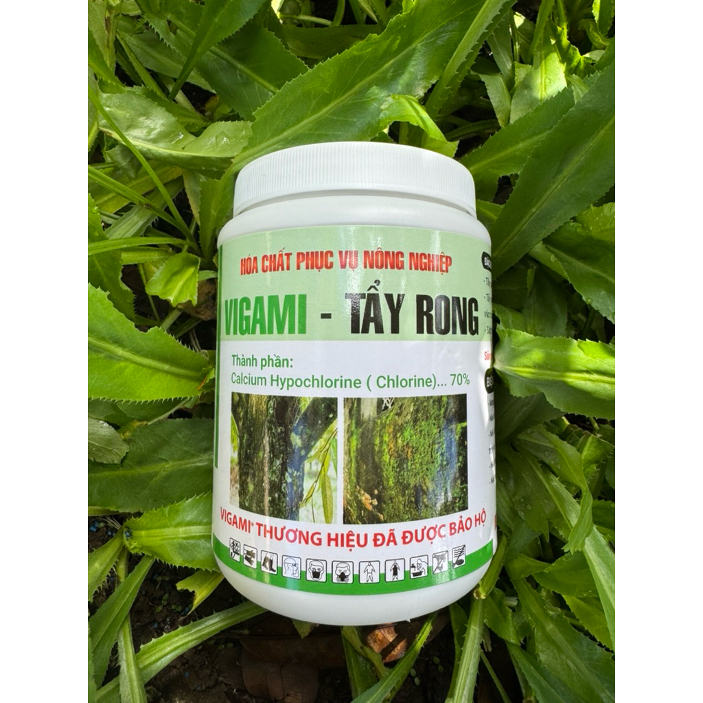 Tẩy rong cây, rong rêu sân, nền nhà hũ 500gr