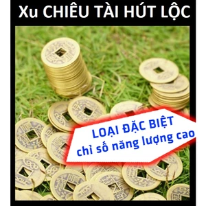 FREE SHIP -SỈ 50 100 Đồng xu âm dương chiêu tài , Túi 100 Xu cổ phong thủy
