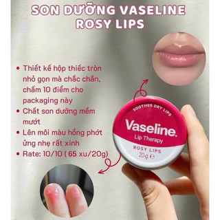 Dưỡng môi Vaseline Lip Therapy Hộp Thiếc MỸ 20g - CÔ THƯ MARKET