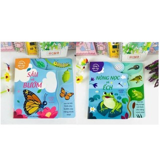 Sách - Vòng Đời Của Sâu Và Bướm/Nòng Nọc và Ếch - ndbooks (Arcturus - Sách bản quyền UK)