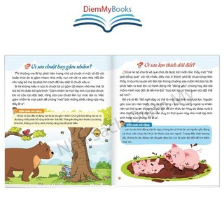 Sách Thiếu Nhi- Trọn Bộ 5 Quyển 10 Vạn Câu Hỏi Vì Sao? Dành Cho Bé Khám Phá Nhất Về 5 Chủ Đề Khác Nhau Nội Dung Hấp Dẫn