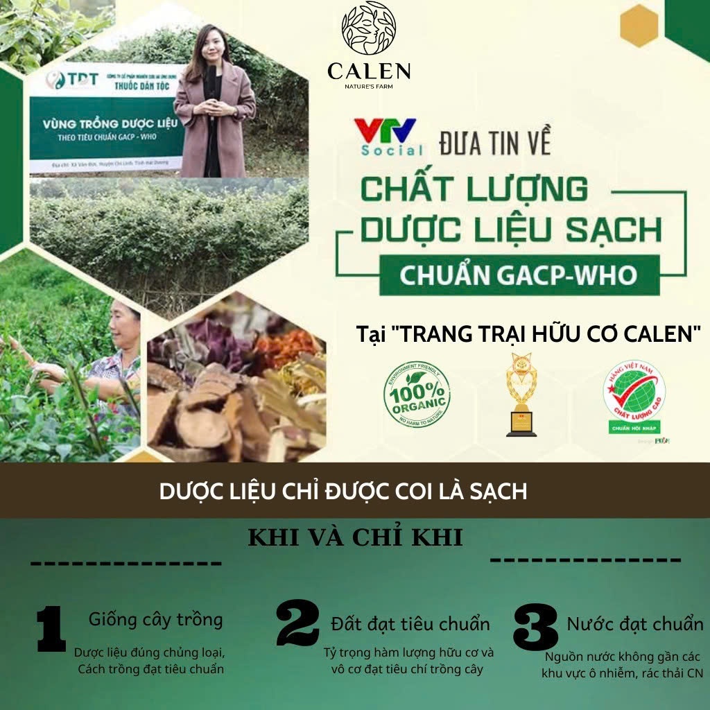 Trà An Thống Phong Calen Nature's Farm lợi tiểu đào thải acid uric, giảm sưng đau khớp cải thiện chức năng vận động