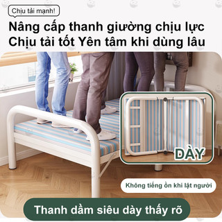 Panda giường gấp gọn 1-2 người nằm chắc chắn tải trọng 300kg
