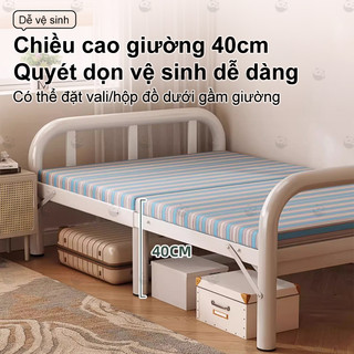 Panda giường gấp gọn 1-2 người nằm chắc chắn tải trọng 300kg