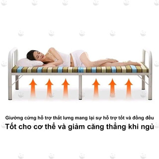 Panda giường gấp gọn 1-2 người nằm chắc chắn tải trọng 300kg