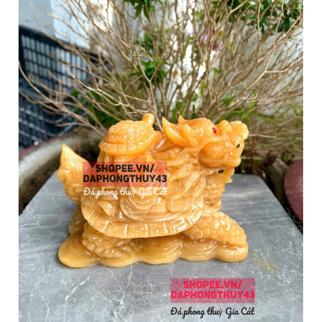Rùa hoá rồng cõng rùa long quy hoàng long 25cm vip kiểm định | Shopee ...