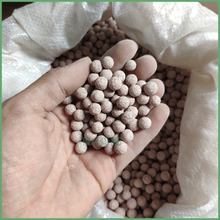 Vật Liệu Lọc Sứ Viên Các Loại - Sứ Trụ, Sứ Bi - Sử Dụng Cho Hồ Cá Cảnh, Thủy Sinh