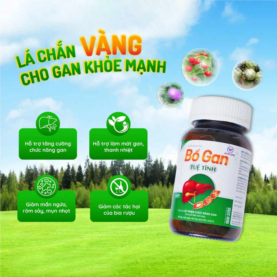 Viên Uống Bổ Gan Tuệ Tĩnh, Hỗ Trợ Cải Thiện Chức Năng Gan, Nóng Gan, Hạ Men Gan, Mẩn Ngứa, Vàng Da