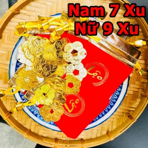 Combo 3 Đồng Xu Hoa Mai Mạ Vàng / Cổ 3cm – Tặng Kèm Túi Lộc Đỏ Mang May Mắn Đầu Năm