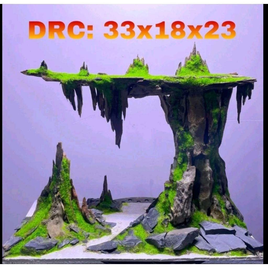 Layout đảo bay trang trí bể cá thủy sinh layout bể 40 | Shopee Việt Nam