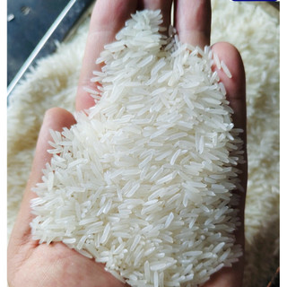 Gạo ST25 Cao cấp túi 2kg, 5kg- ngon, dẻo mềm thượng hạng