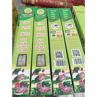 Hương Xua Muỗi Sinh Học Thúy Liễu – Sản phẩm OCOP 3 sao | An toàn – Hiệu quả – Thân thiện môi trường