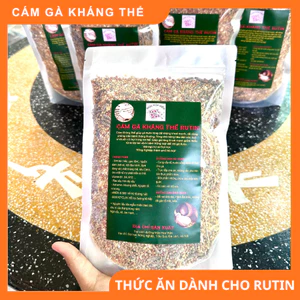 Cám gà Rutin Kháng Thể - 12 Loại Dinh Dưỡng- Phòng Bệnh Hiệu Quả, Tăng Sức Đề Kháng