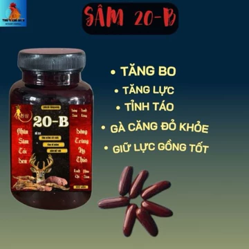 Viên sâm 20B uống tăng bo, tăng lực, tỉnh táo,dẻo dai, nhân sâm và vitamin tổng hợp, hủ 50 và 100 viên , nuôi gà