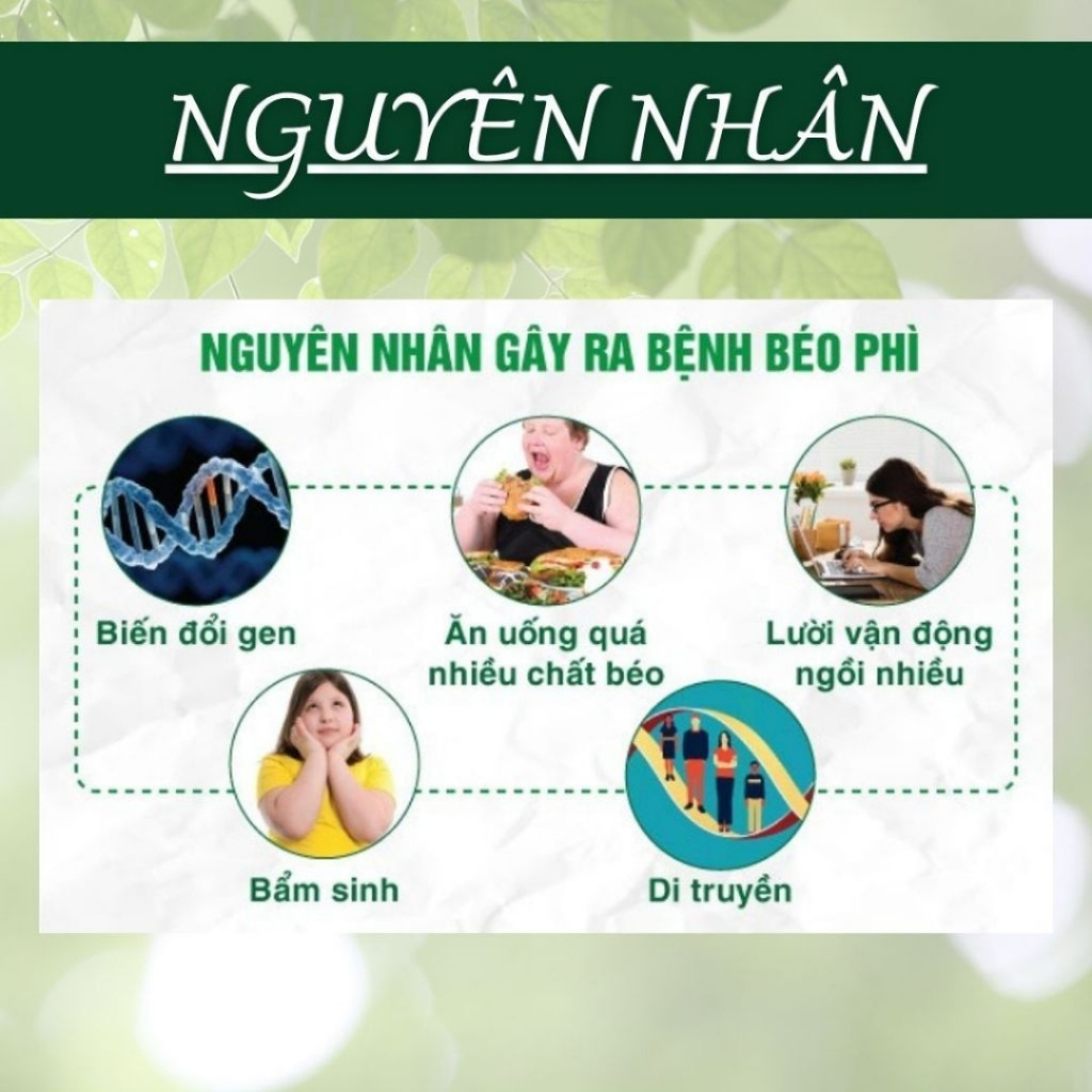 HÒA BÌNH ORGANIC - Trà Túi Lọc Lá Nam 10 Vị - Thanh lọc, Thanh Nhiệt, Thải độc, Giảm cân - Bịch 50 lọc