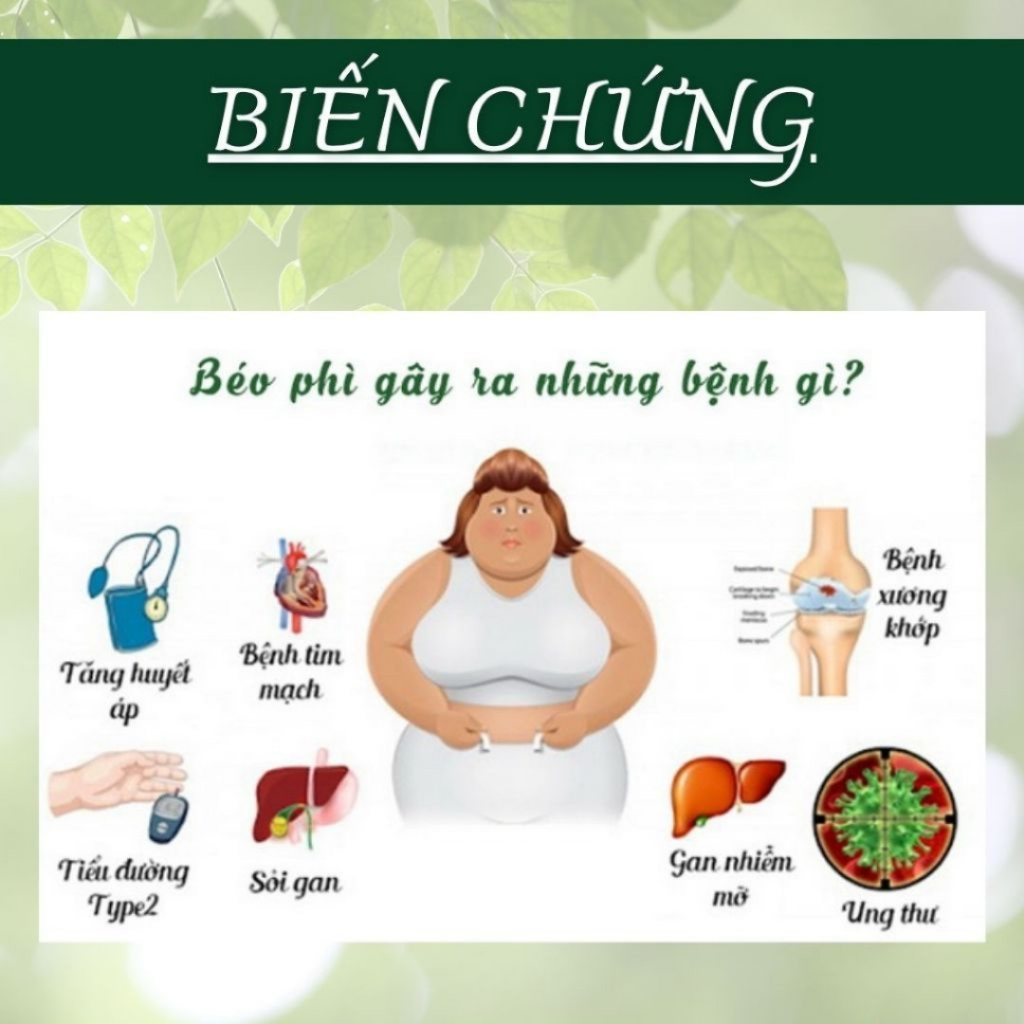HÒA BÌNH ORGANIC - Trà Túi Lọc Lá Nam 10 Vị - Thanh lọc, Thanh Nhiệt, Thải độc, Giảm cân - Bịch 50 lọc