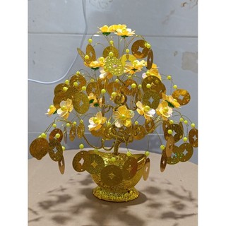 cây kim tiền chiêu tài lộc 30cm nhiều mẫu
