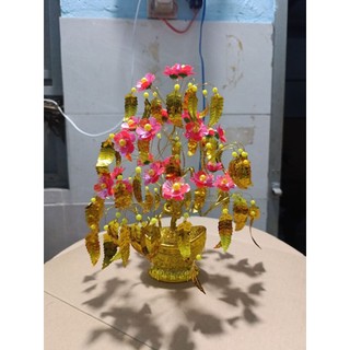 cây kim tiền chiêu tài lộc 30cm nhiều mẫu