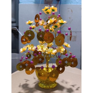 cây kim tiền chiêu tài lộc 30cm nhiều mẫu