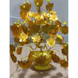 cây kim tiền chiêu tài lộc 30cm nhiều mẫu