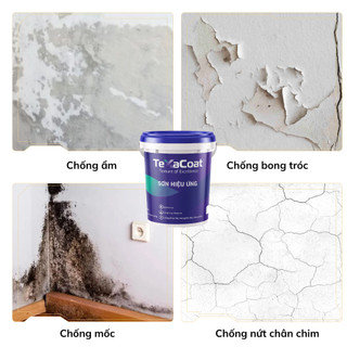 Sơn hiệu ứng bê tông ECO TEXACOAT màu be chống thấm, chống ẩm mốc, nứt chân chim bền màu, sơn nội thất, ngoại thất
