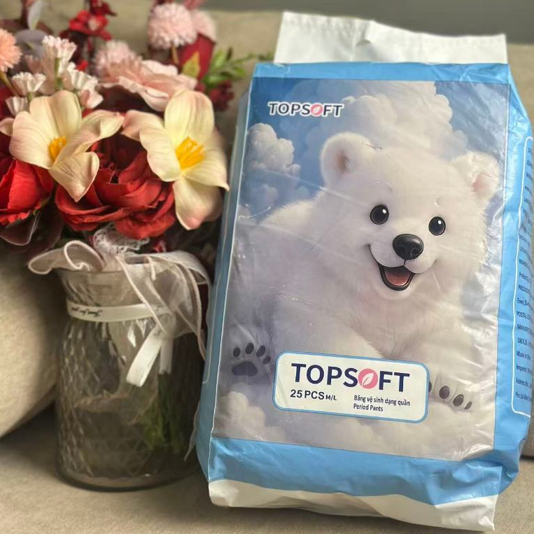 25 miếng Băng vệ sinh dạng quần TOPSOFT  chống tràn size M/L/XL từ 35-105kg( Che tên sản phẩm khi giao )
