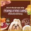 Pate Thịt Gà & Rau Củ Cho Chó Doggyman Gói 70gram - Thức ăn ướt cho chó mọi lứa tuổi, nhiều vị