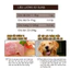 Pate Thịt Gà & Rau Củ Cho Chó Doggyman Gói 70gram - Thức ăn ướt cho chó mọi lứa tuổi, nhiều vị