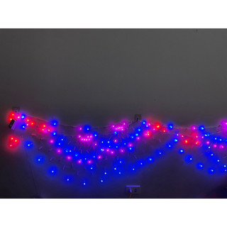 Đèn led đuôi công , đèn led đuôi phụng trang trí sự kiện,Lễ ,Tết (ducphong2022)