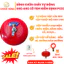 Bình Cầu Chữa Cháy Tự Động Treo Trần – Kích Hoạt Khi Nhiệt Độ 68°C, Dập Tắt Đám Cháy Tức Thì, Nhanh Chóng