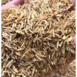 Vỏ Trấu Sống ( cam kết như hình)