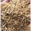 Vỏ Trấu Sống ( cam kết như hình)