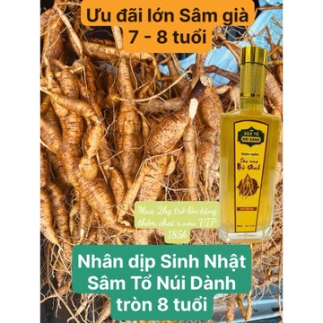 [Ưu đãi lớn SN Vườn Sâm Tổ] Củ Sâm Nam núi Dành hơn 7 tuổi tươi 1kg - Sâm Tổ núi Dành