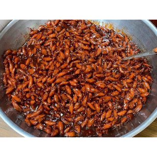 MỰC KHÔ RIM MUỐI, MỰC SỮA NHỎ, mực rim tỏi ớt, mực sữa, NINH THUẬN