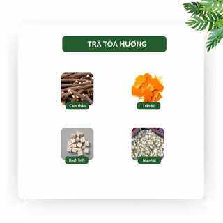 [Mua 1 tặng 1] Trà Tỏa Hương - 40 gói - Giúp Cơ Thể Khử Mùi, Tỏa Hương, Hương Hoa Nhài, Hoa Hồng  - Tiệm Trà Việt