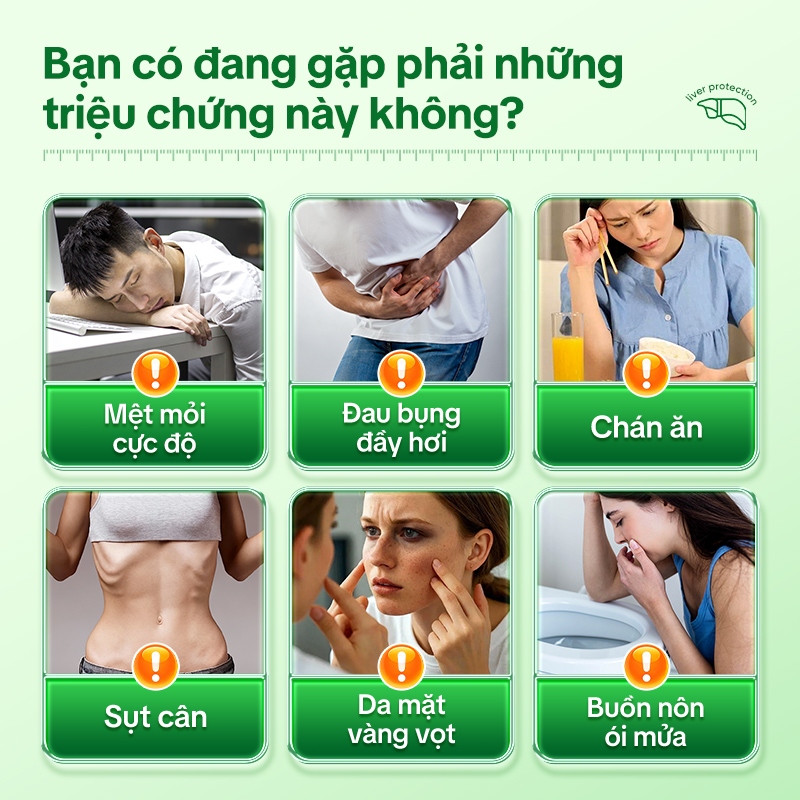 Tong Ren Tang Trà Thảo Mộc Dạ Dày – Hỗ Trợ Tiêu Hóa, Giảm Đầy Bụng, Nhẹ Bụng, Thanh Lọc Cơ Thể