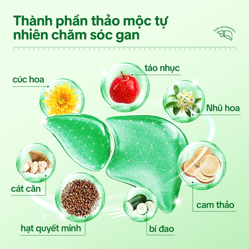Tong Ren Tang Trà Thảo Mộc Dạ Dày – Hỗ Trợ Tiêu Hóa, Giảm Đầy Bụng, Nhẹ Bụng, Thanh Lọc Cơ Thể