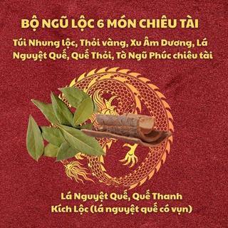 [Mẹo Cô Phương Hằng] Bộ Ngũ Lộc 6 Món Phong Thủy - Túi Nhung, Vàng Thỏi,  Xu Âm Dương, Lá Thanh Quế, Tờ Ngũ Phúc, Chỉ Đỏ