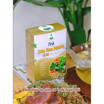 Trà Cây Rau Mương Diếp Cá Nấm Linh Chi nước trà tốt cho dạ dàyhp(30TÚI LỌC)/1HỘP