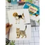 Sách - Flashcard - Thế giới quanh em - Giáo dục theo phương pháp Glenn Doman - NDbooks