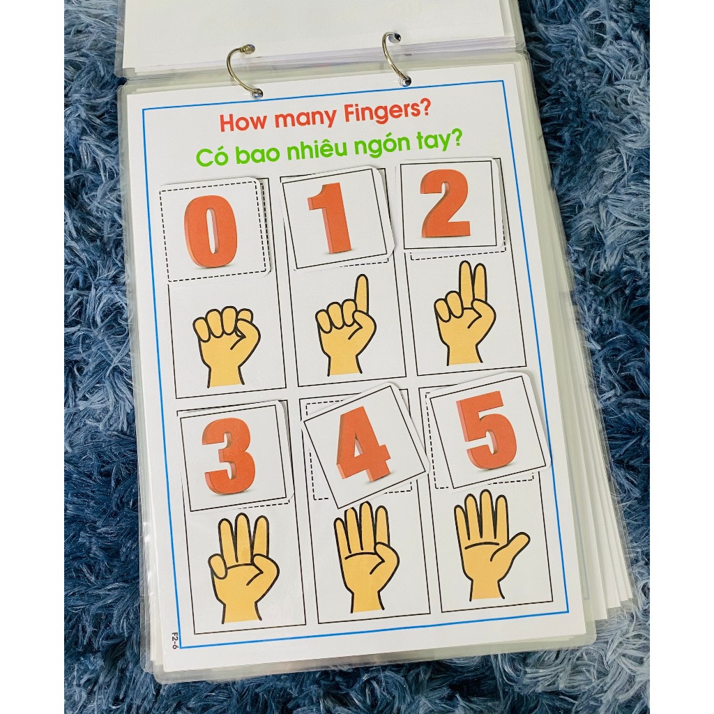 Bộ Học Liệu Montessori Bóc Dán, Đồ Chơi Toán Học Phát Triển Tư Duy Từ Sớm Cho Bé 1-6 Tuổi