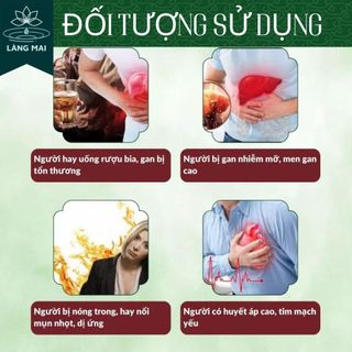 Trà Mát Gan Cà Gai Leo - Làng Mai - 4 vị Mát Gan, Hạ Mỡ Máu, Men Gan Cao, Xơ Gan. Hộp 30 gói