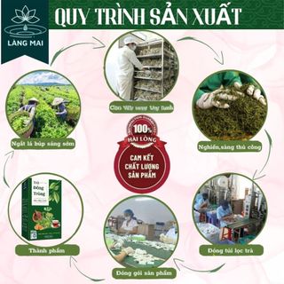 Trà Đông Trùng Dây Thìa Canh - Làng Mai - 7 Vị Thảo Dược Giúp Ổn Định Đường Huyết, An Toàn Lành Tính Hộp 30 gói