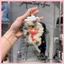 Blind Box móc khóa gấu bông Ugly And Cute Metro Beans chính hãng