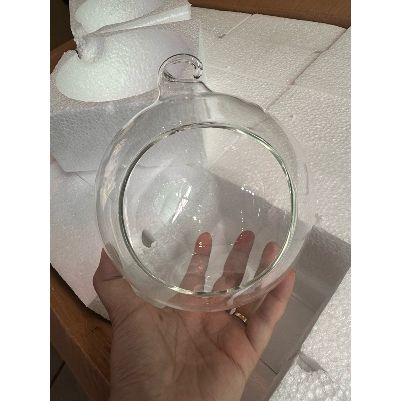 bình tròn thuỷ tinh setup tiểu cảnh,terrarium