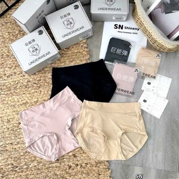 Hộp 6 quần lót su 505, Quần lót cotton lạnh cao cấp
